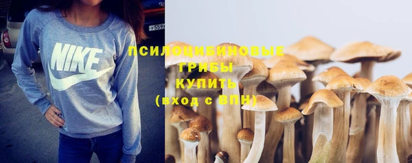 гидра Армянск