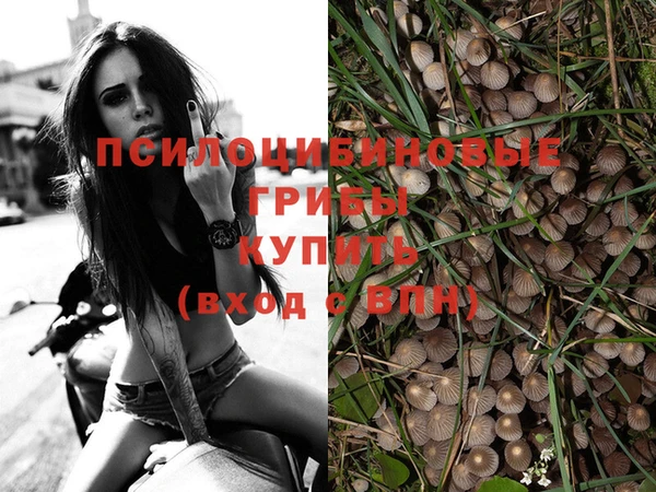 герыч Арсеньев
