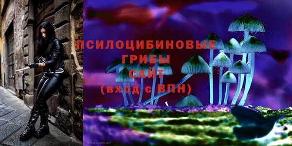 герыч Арсеньев