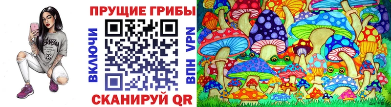 продажа наркотиков  Пролетарск  Галлюциногенные грибы GOLDEN TEACHER 
